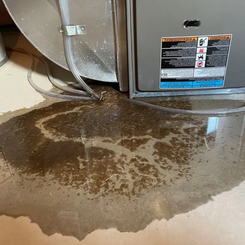 Pipe Burst and Leak Restoration in North Scituate, MA